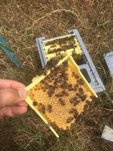 Les ZZZ'HappyCulteurs Les ZZZ'HappyCulteurs