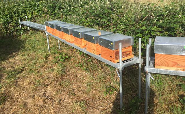 Les ZZZ'HappyCulteurs Les ZZZ'HappyCulteurs