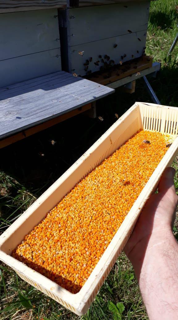 Les Ruchers de La Boétie Les Ruchers de La Boétie