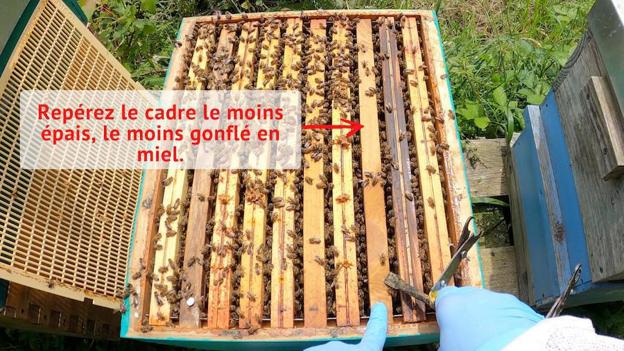 Comment retirer et replacer un cadre dans une ruche ? Comment retirer et replacer un cadre dans une ruche ?