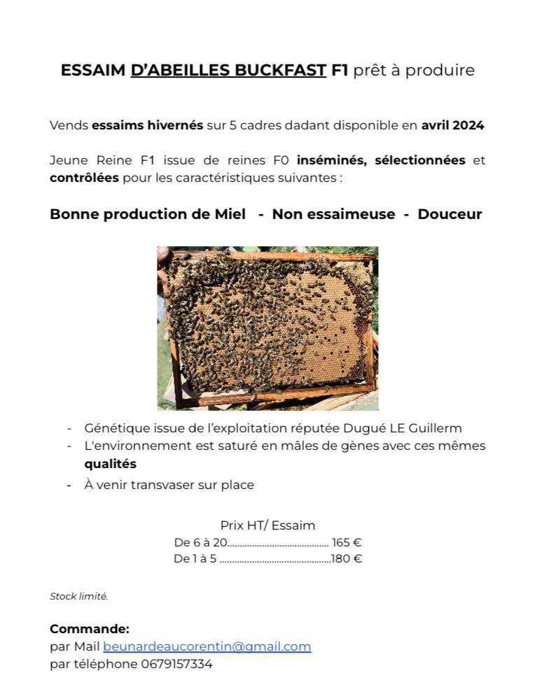 Corentin Beunardeau Corentin Beunardeau