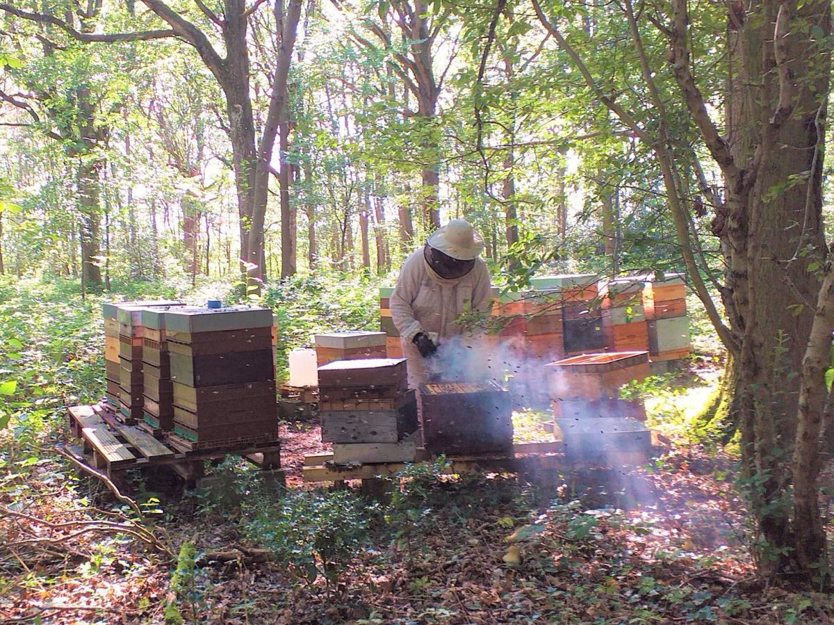 Les Ruchers de Vernon Les Ruchers de Vernon