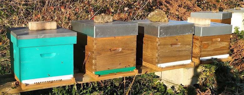 Réduire la taille de l'entrée de la ruche Réduire la taille de l'entrée de la ruche