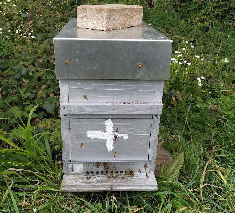 Réduire la taille de l'entrée de la ruche