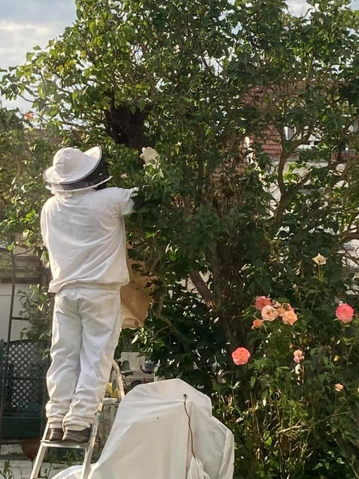 Le rucher Lady Bee Le rucher Lady Bee