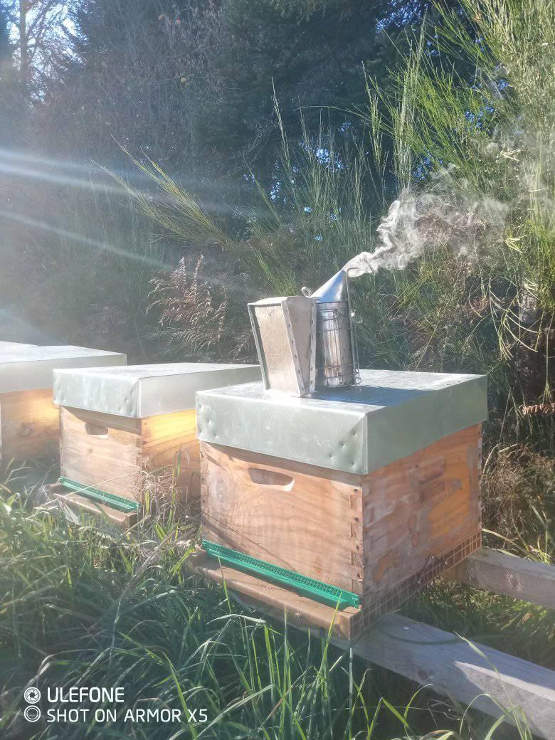 Le rucher des Walkyries Le rucher des Walkyries