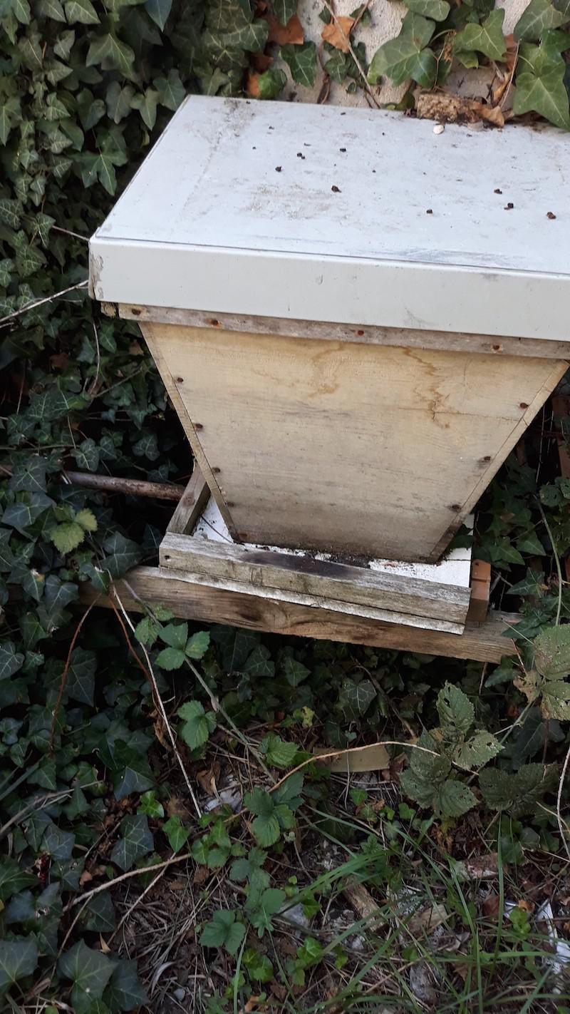 Rucher du chardon bleu Rucher du chardon bleu