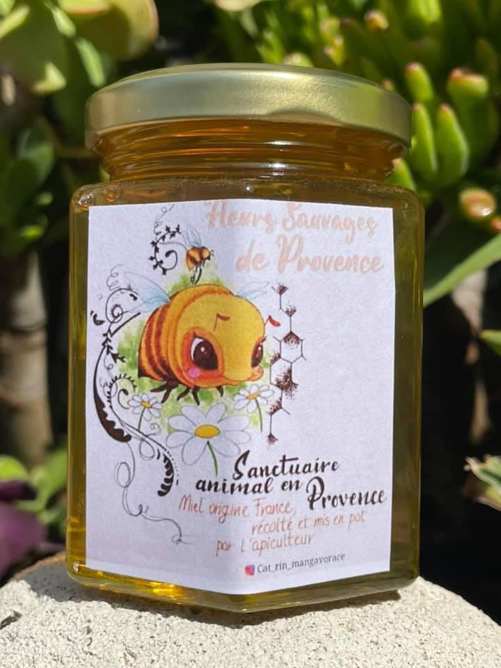 Sanctuaire Animal en Provence Sanctuaire Animal en Provence