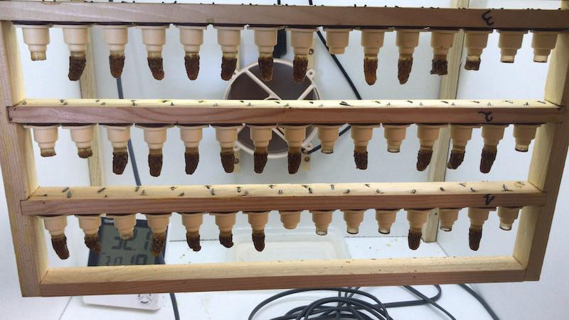 Terre de Mistral Terre de Mistral