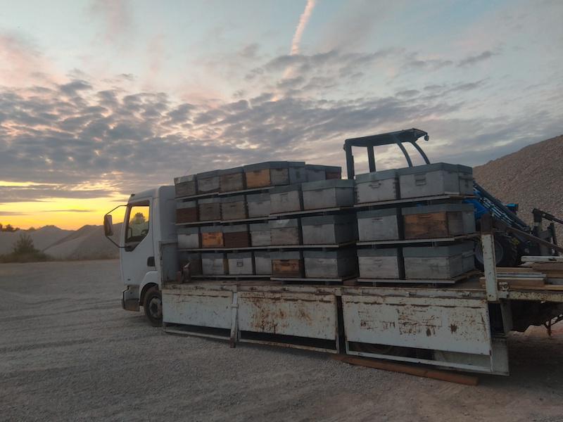 La goutte de miel La goutte de miel