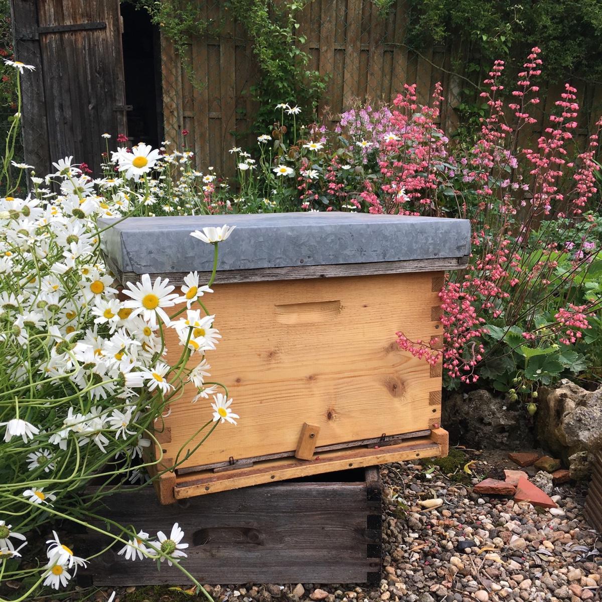 Les Ruchers de Saint Mayeul Les Ruchers de Saint Mayeul