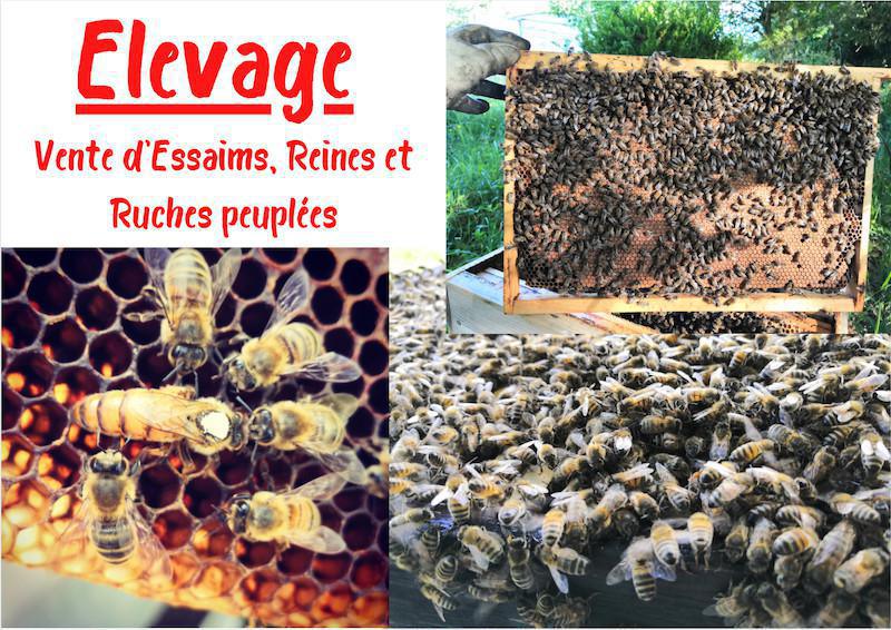 Au Rucher de Gambais Au Rucher de Gambais