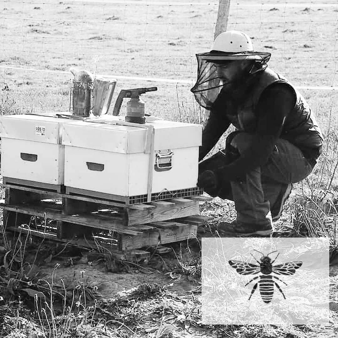 La Cazamiel La Cazamiel