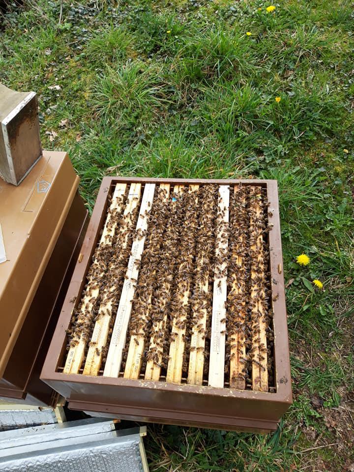 Le rucher du Chefresne Le rucher du Chefresne