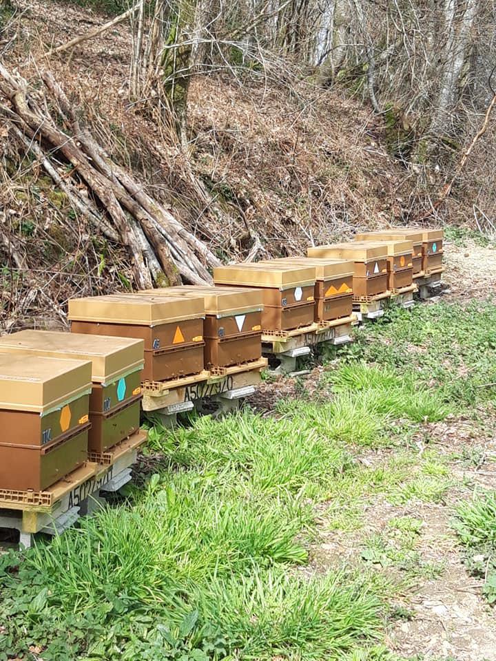 Le rucher du Chefresne Le rucher du Chefresne