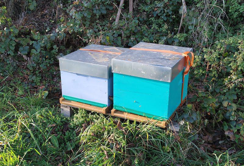 Solidariser les éléments de votre ruche Solidariser les éléments de votre ruche