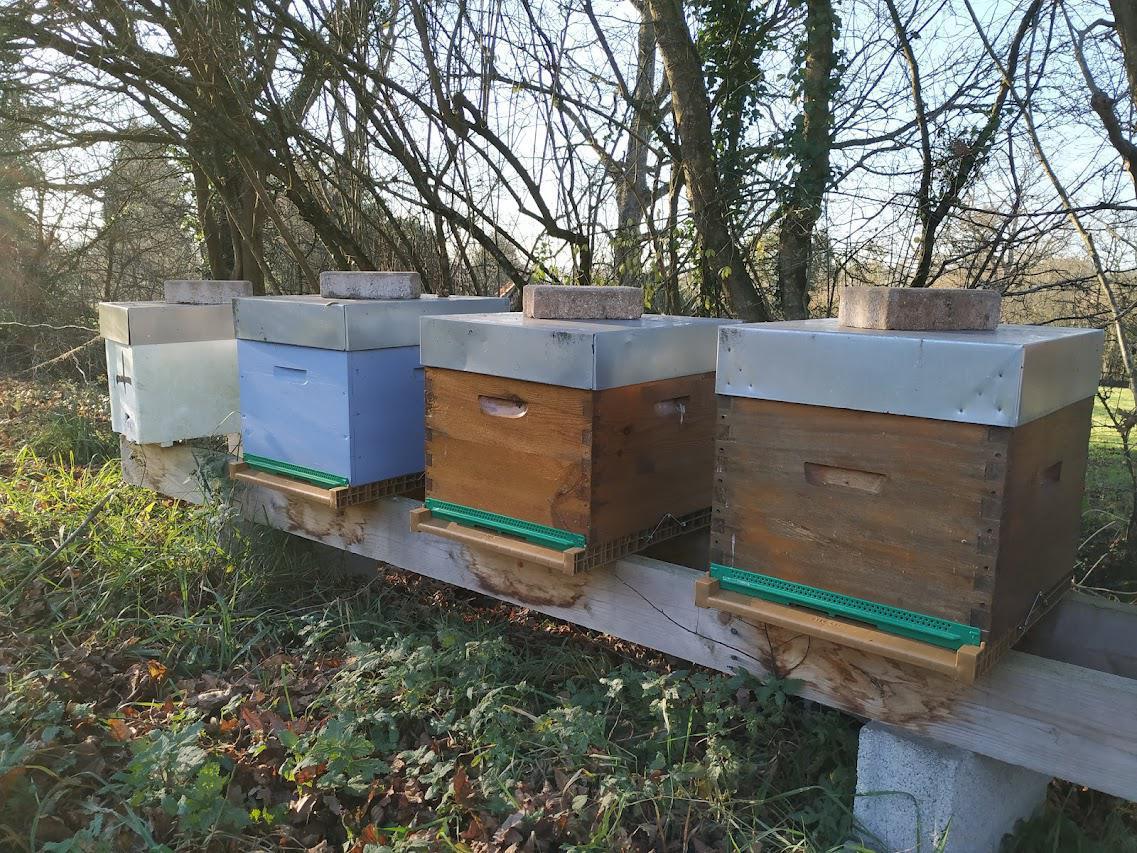 Solidariser les éléments de votre ruche Solidariser les éléments de votre ruche