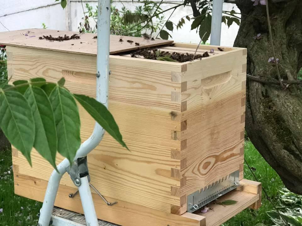 Le Rucher Coquelicot Le Rucher Coquelicot