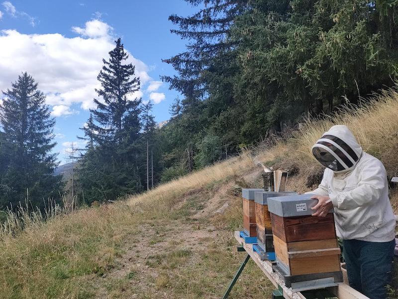 L'abeille de François L'abeille de François