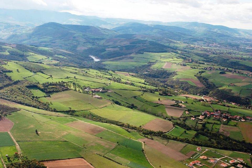 COOPAPILOIRE de Montbrison COOPAPILOIRE de Montbrison