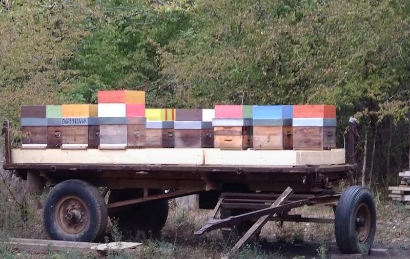 Les abeilles de grands moulins