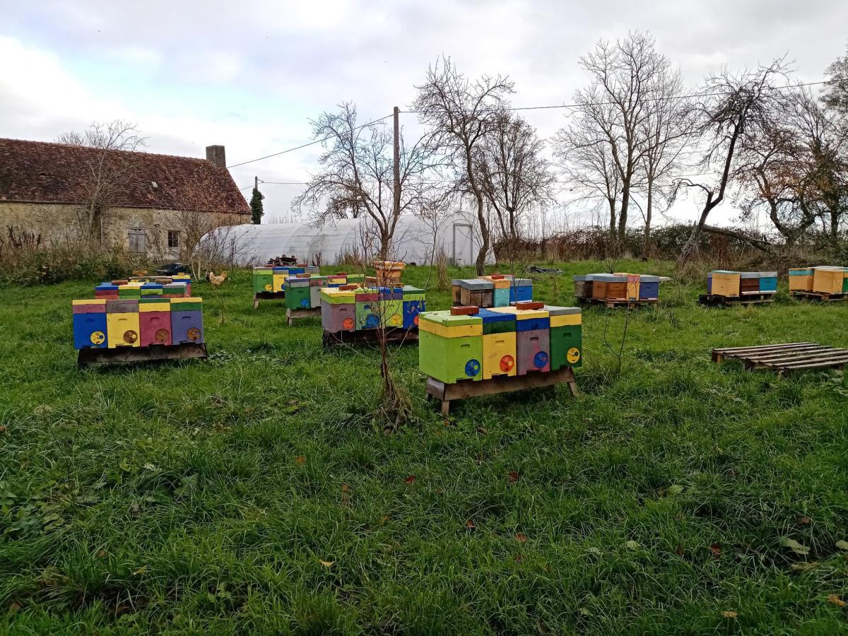 Le Rucher des Mares Clément Le Rucher des Mares Clément