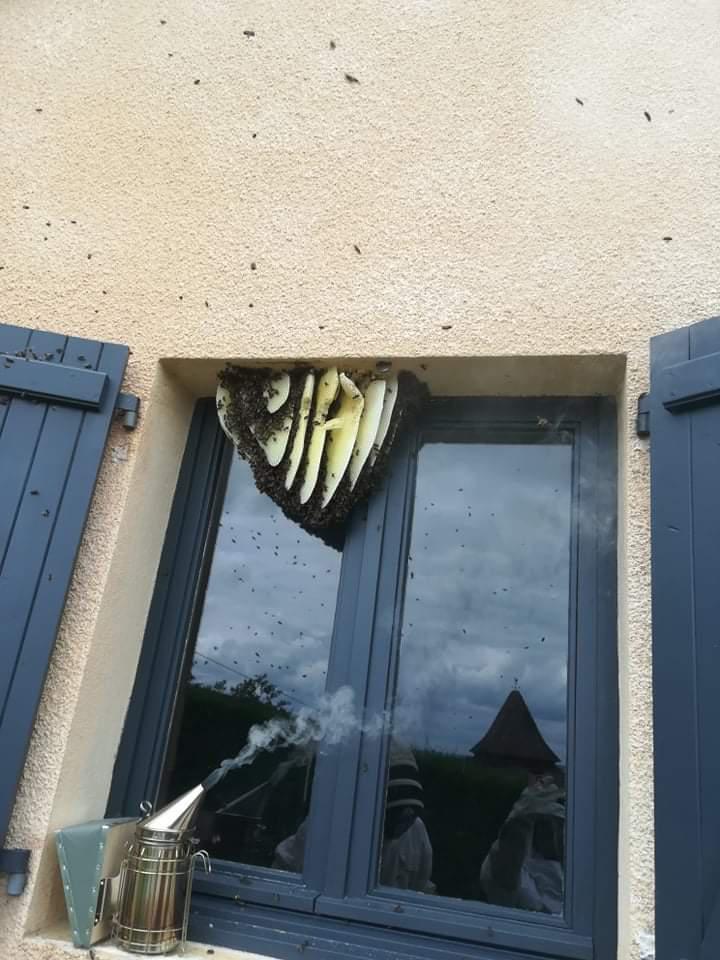 Les Ruches de Gabriel Les Ruches de Gabriel