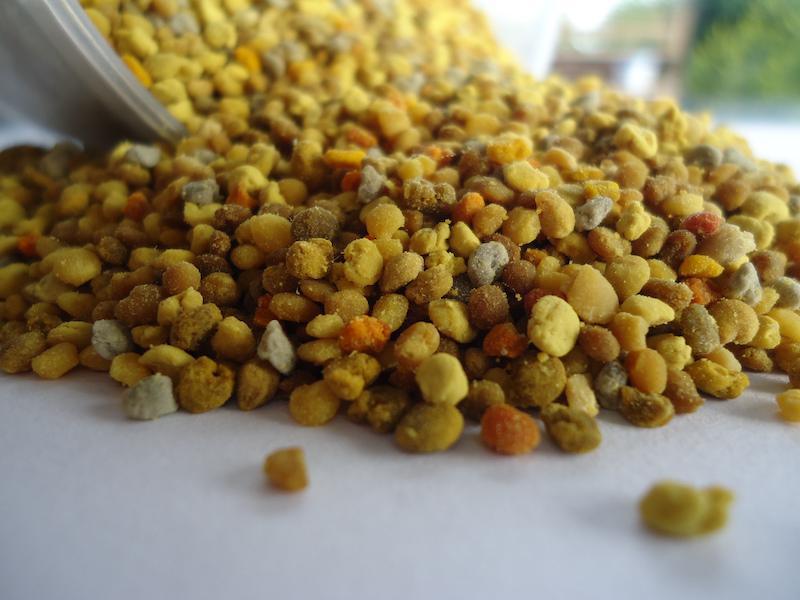 Rucher des Lauriers Rucher des Lauriers