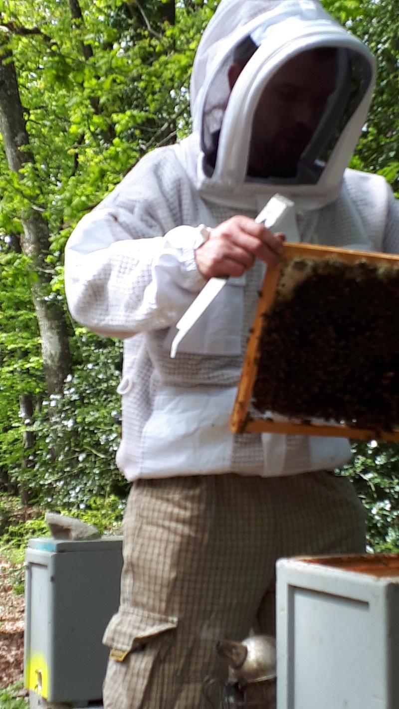 Rucher des Lauriers Rucher des Lauriers