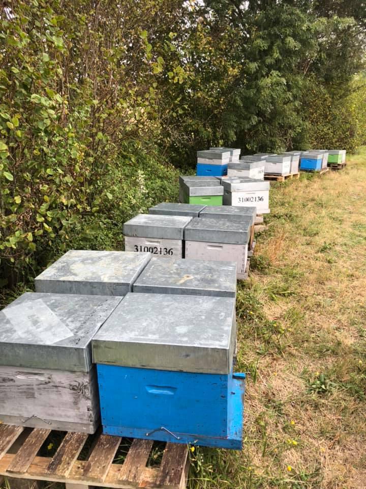 LALAURAGAISE LALAURAGAISE