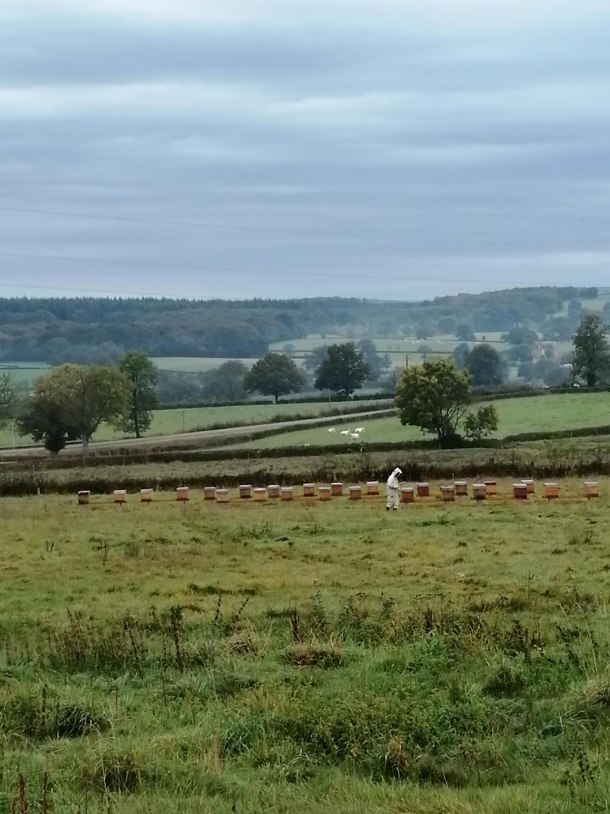 Dornier Sylvain Dornier Sylvain