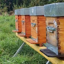 Savignac apiculture Savignac apiculture