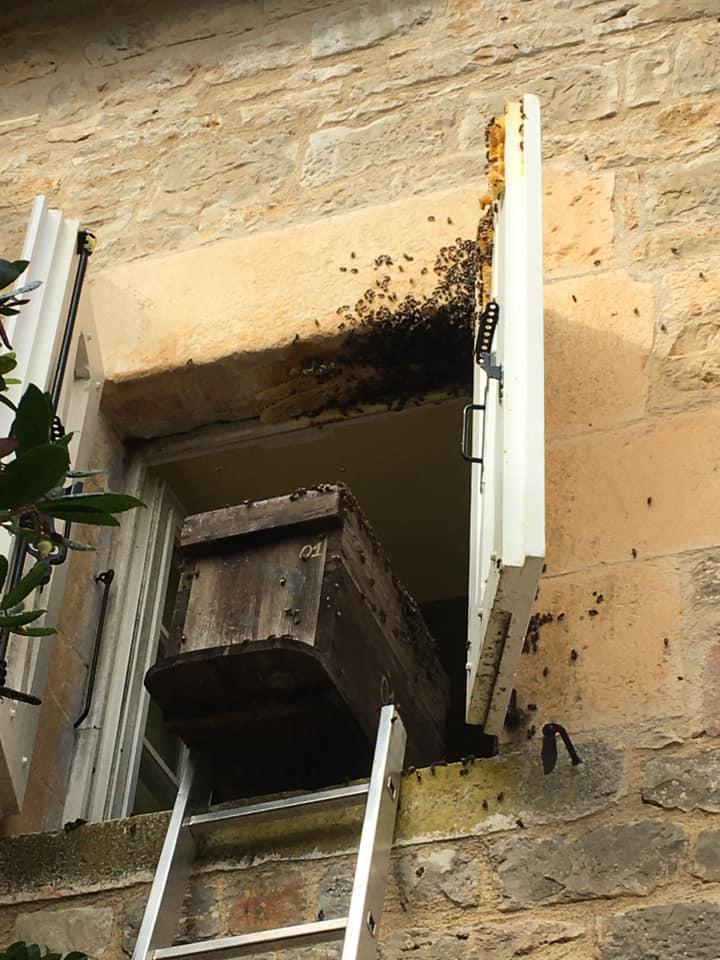 Savignac apiculture Savignac apiculture