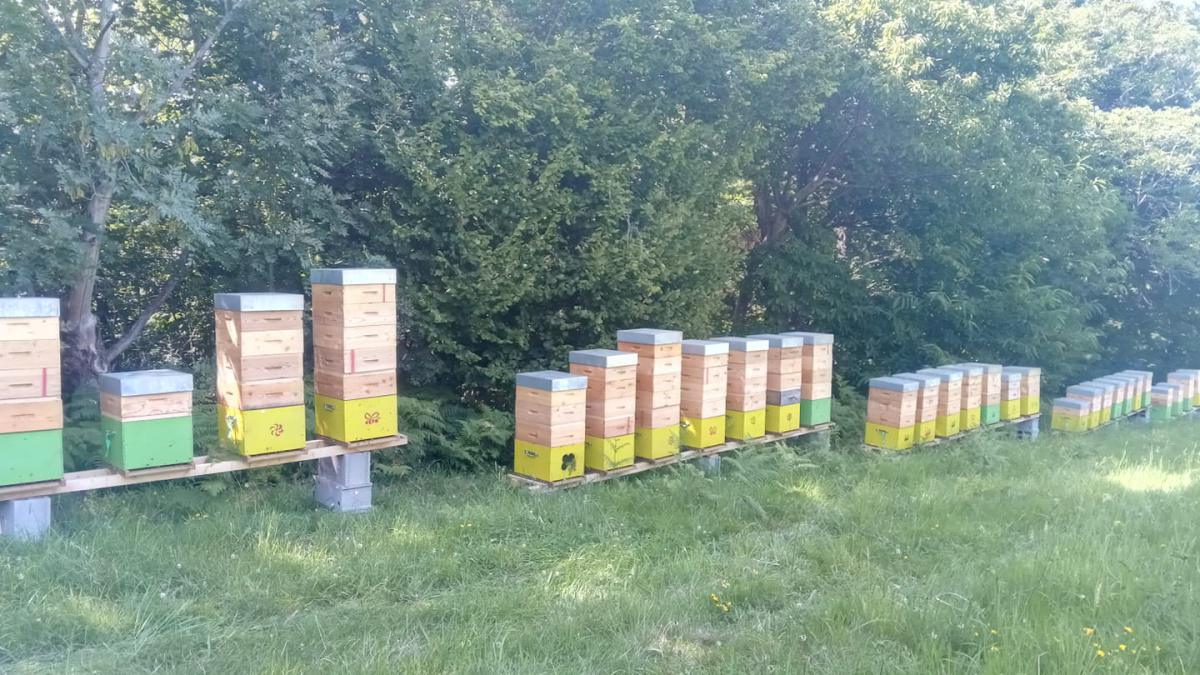 Rucher Pêle-Miel Rucher Pêle-Miel