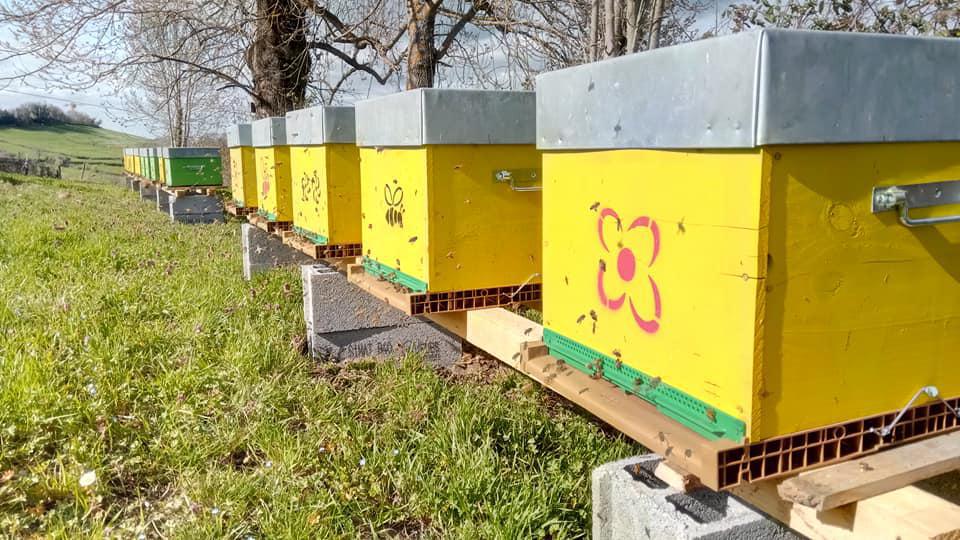 Rucher Pêle-Miel Rucher Pêle-Miel