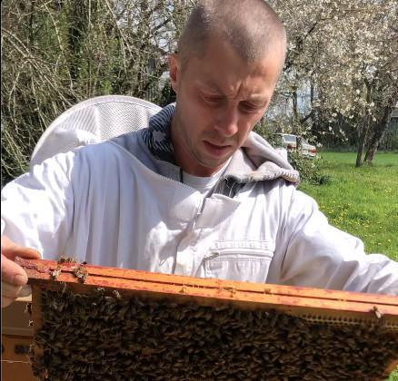 Miellerie Api-Qlé Miellerie Api-Qlé