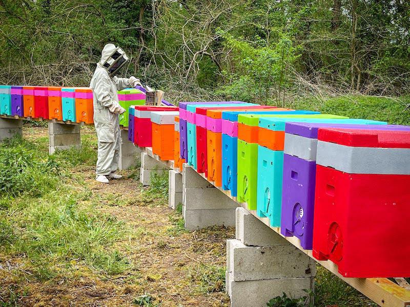Jérémy THOMAS Apiculture Jérémy THOMAS Apiculture