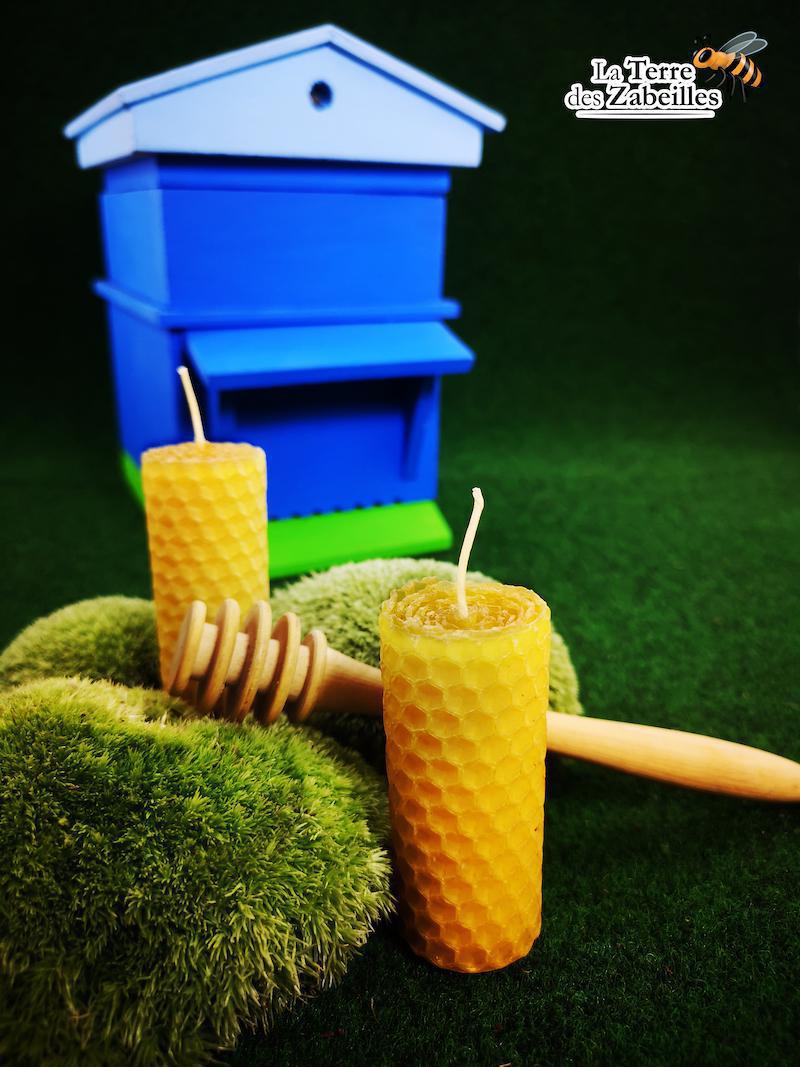 La Terre des Zabeilles La Terre des Zabeilles