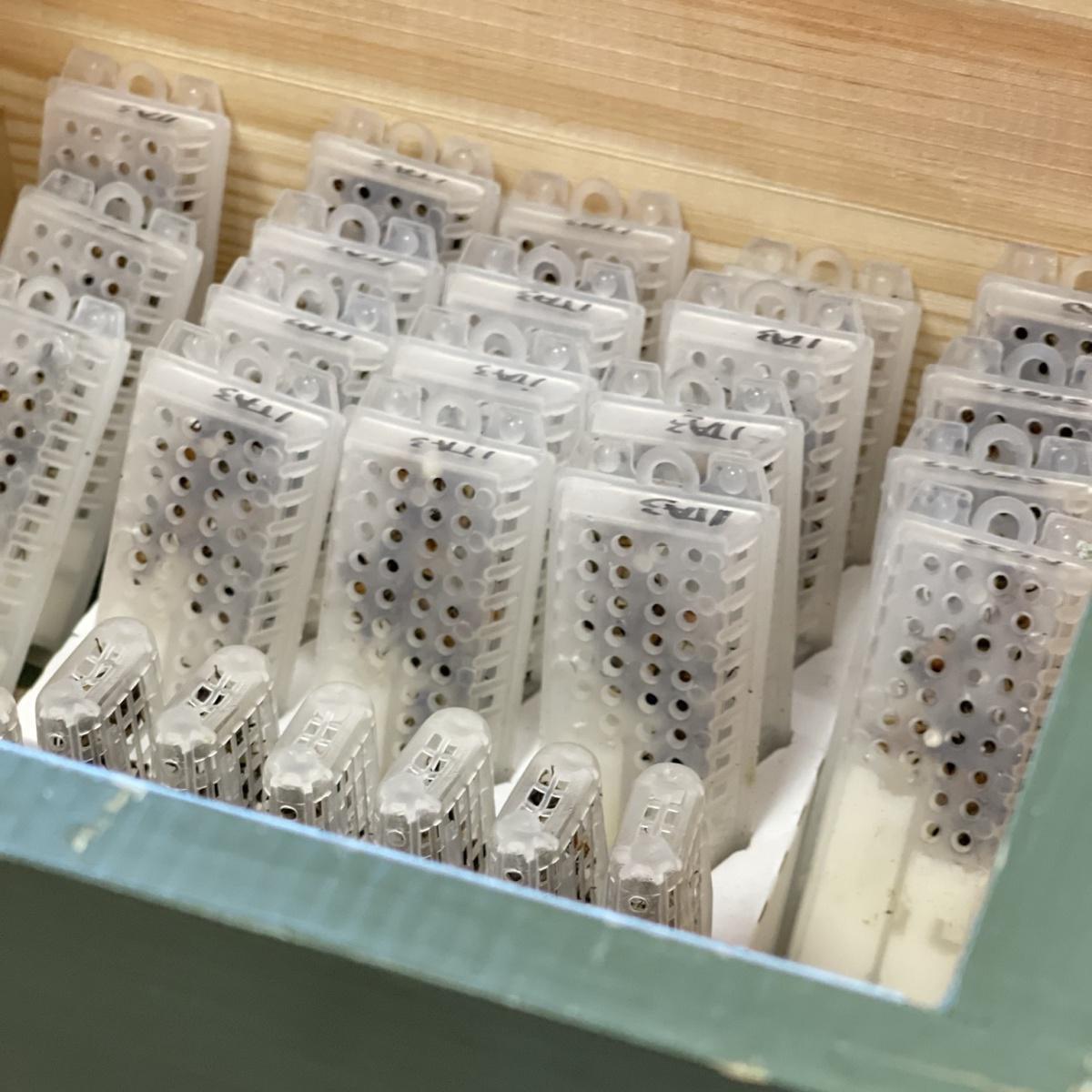 NATURAPI Clermont-Ferrand NATURAPI Clermont-Ferrand