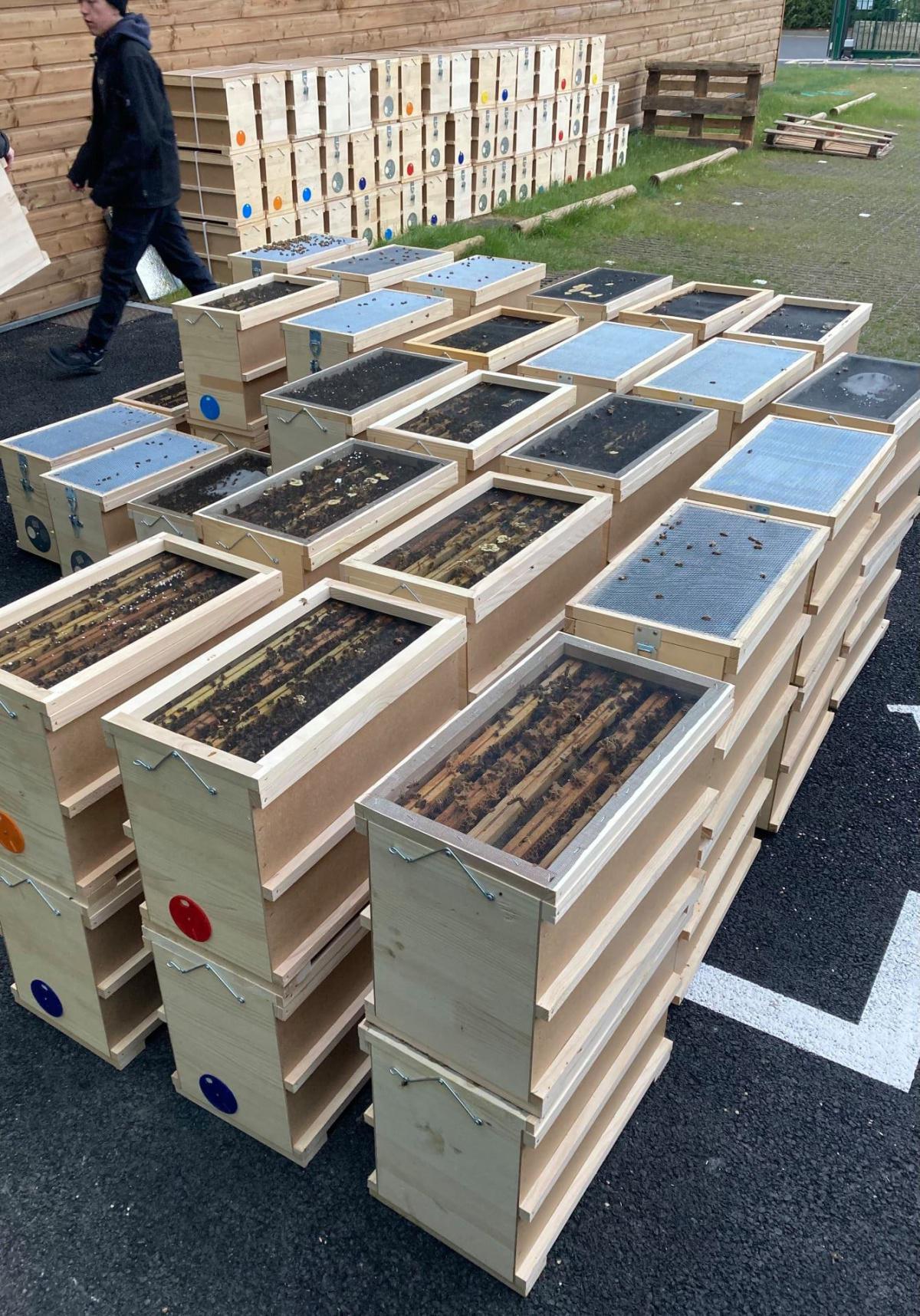 NATURAPI Clermont-Ferrand NATURAPI Clermont-Ferrand