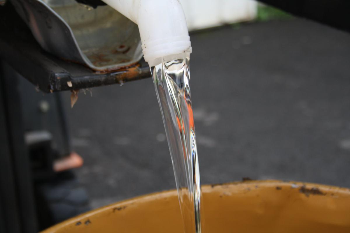 NATURAPI Clermont-Ferrand NATURAPI Clermont-Ferrand