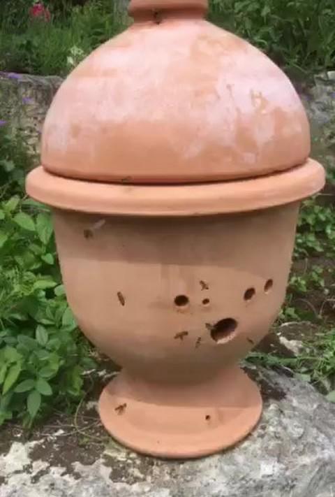 Ferme de Laoueillou Ferme de Laoueillou