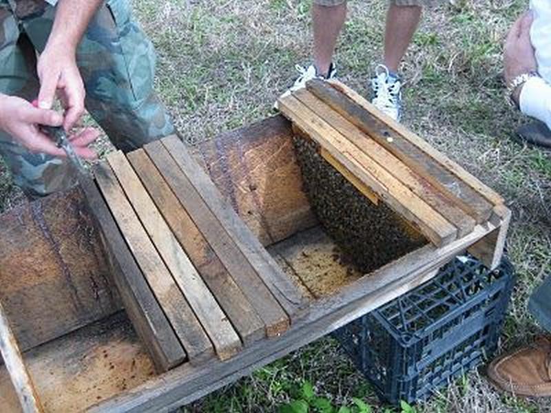 Ferme de Laoueillou Ferme de Laoueillou