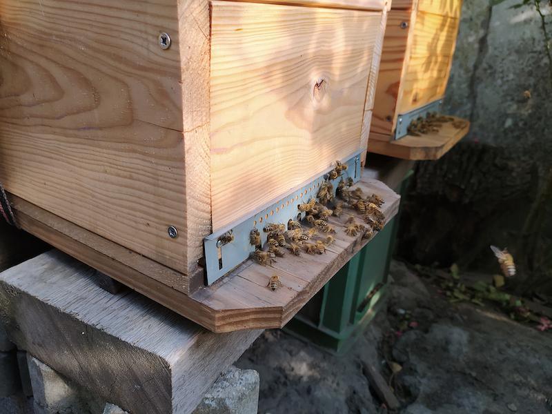 Les Abeilles Du Préolan Les Abeilles Du Préolan