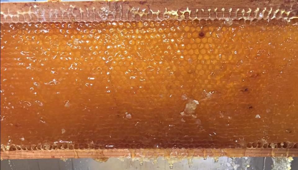 Les ruchers de Nina Les ruchers de Nina