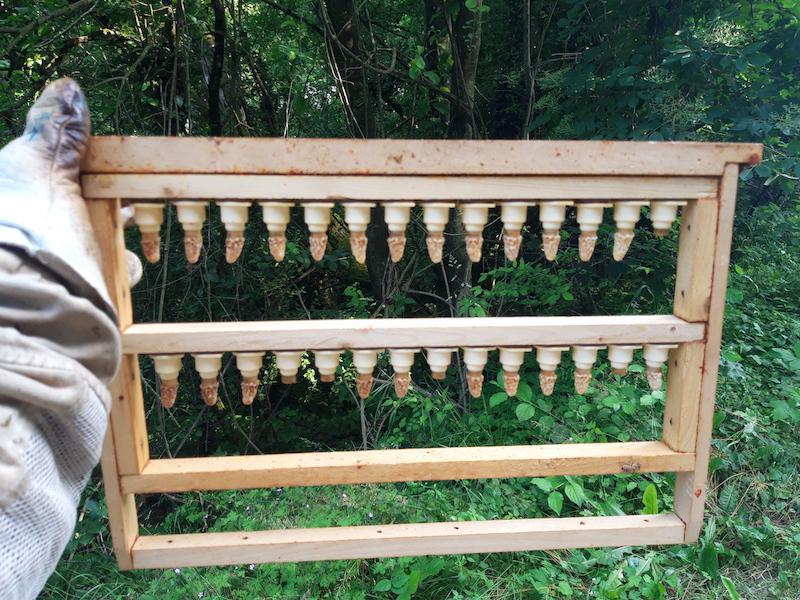 Les ruchers du val de meuse Les ruchers du val de meuse