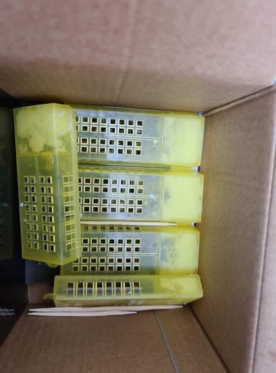 Le rucher de David Le rucher de David