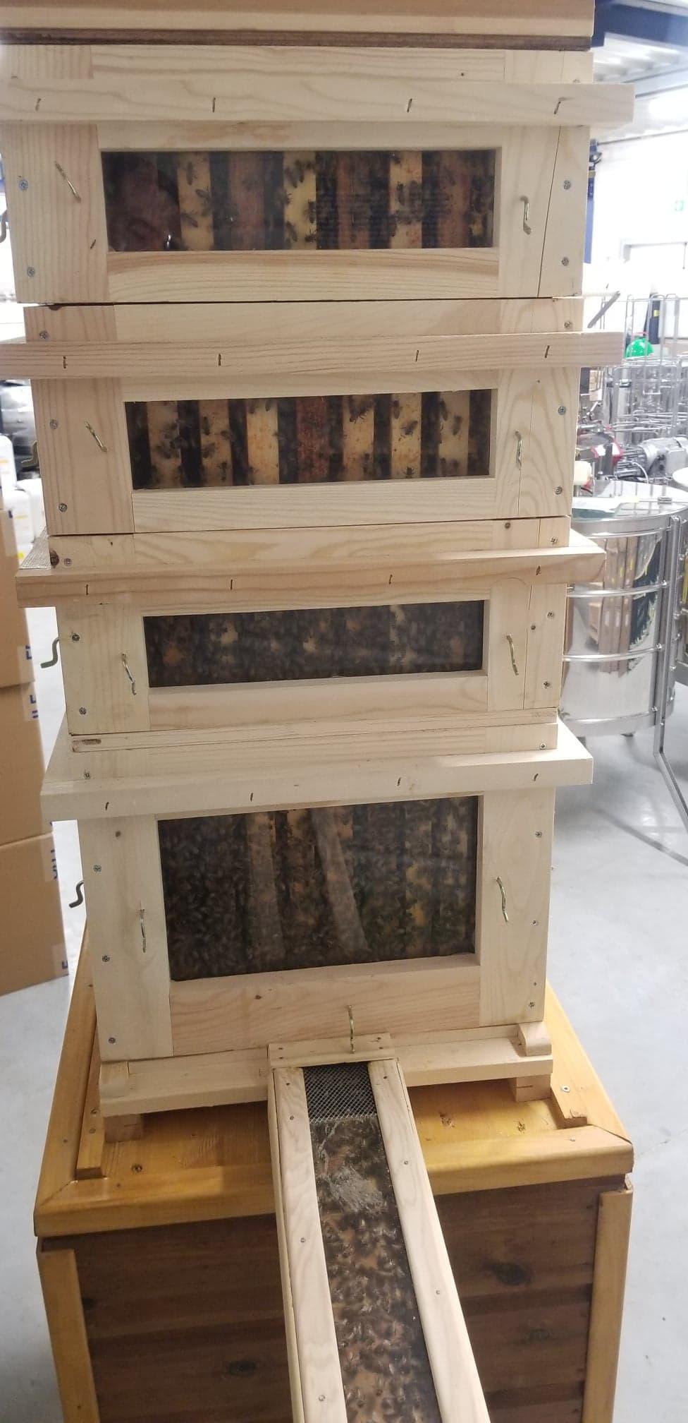 BIJENHOF HOYEZ - L'univers de l'abeille BIJENHOF HOYEZ - L'univers de l'abeille