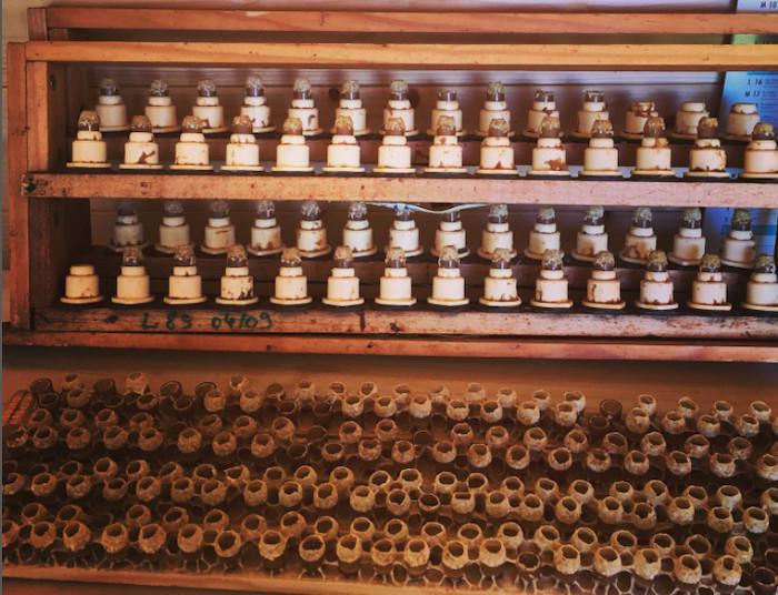 Agate Apiculture Agate Apiculture