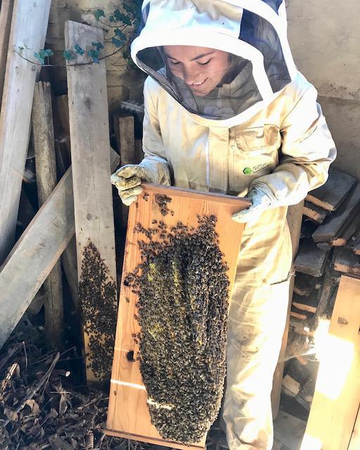 Le Jardin d'Elo Le Jardin d'Elo